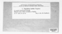 Thecaphora capsularum image